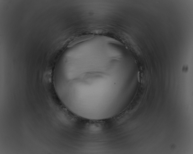 X0000091560368200708311420