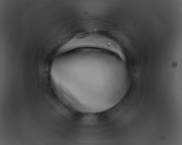 X0000091560369200708311420