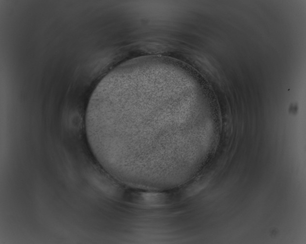 X0000091560371200708311420