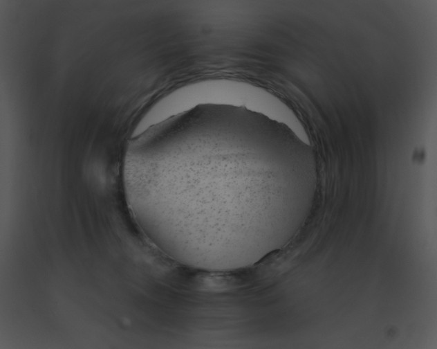 X0000091560372200708311420