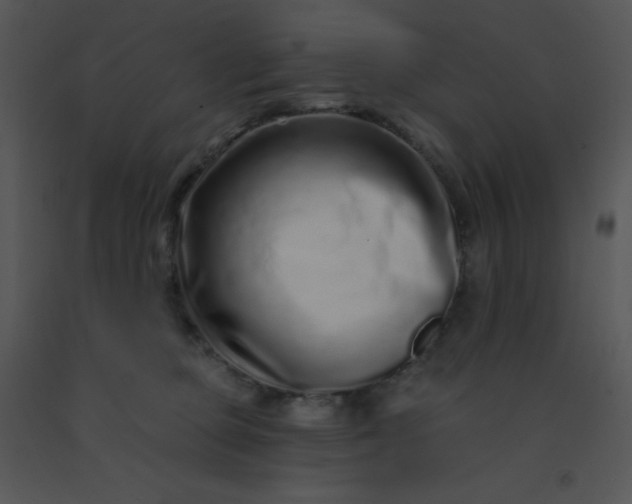 X0000091560373200708311420