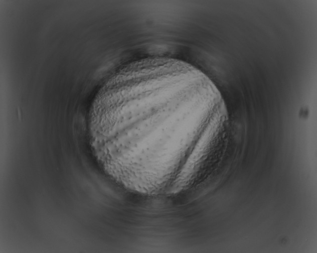 X0000091560375200708311420