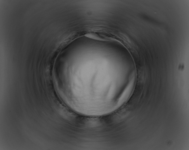 X0000091560377200708311420