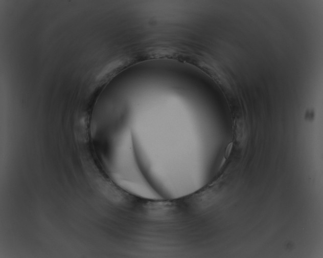 X0000091560378200708311420