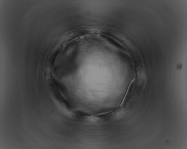 X0000091560379200708311420