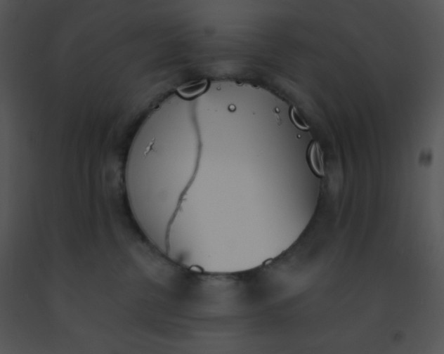 X0000091560380200708311420