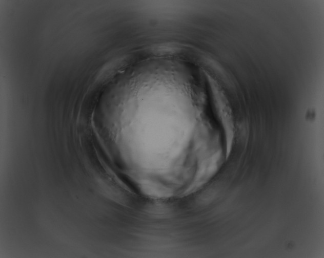 X0000091560381200708311420