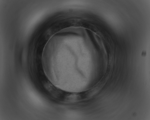 X0000091560383200708311420