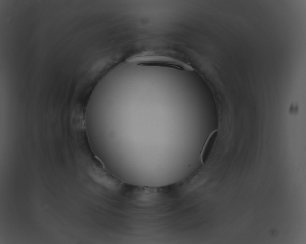 X0000091560384200708311420