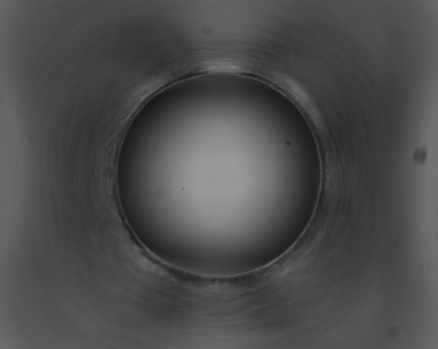 X0000091560385200708311419