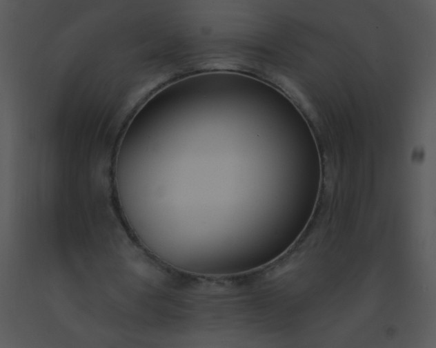 X0000091560386200708311419