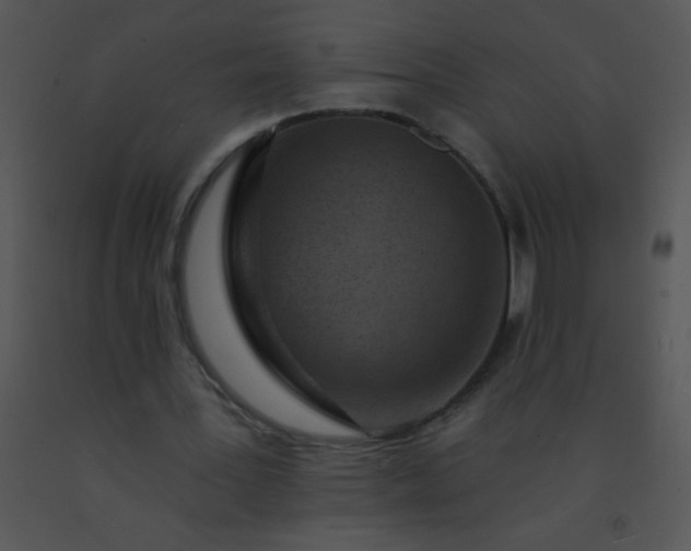 X0000091560387200708311419