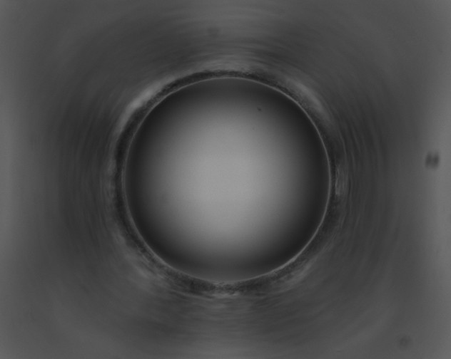 X0000091560388200708311419