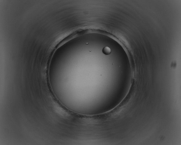 X0000091560389200708311419