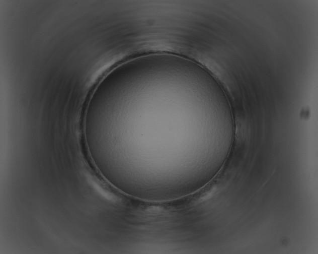 X0000091560390200708311419