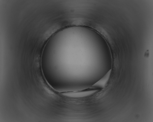 X0000091560393200708311419