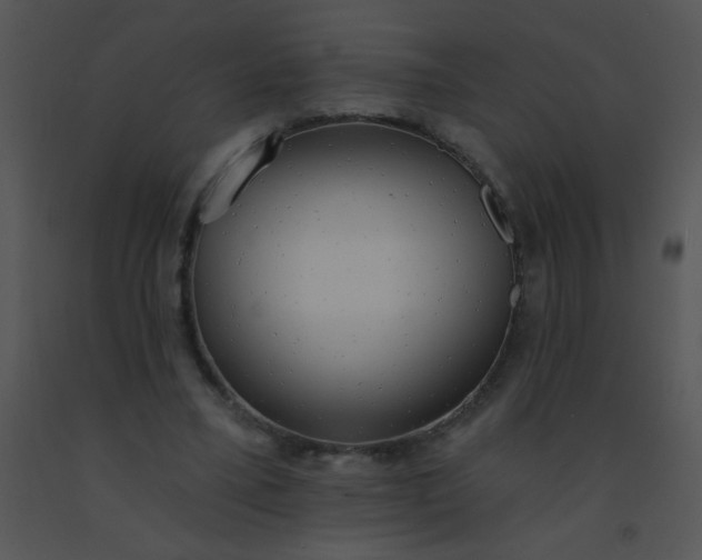 X0000091560395200708311419