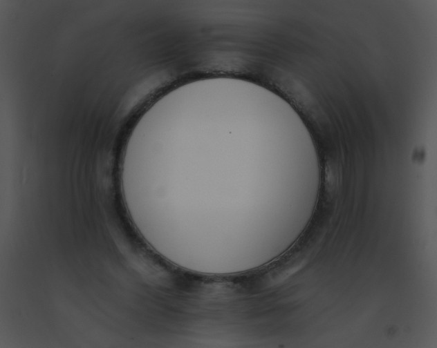 X0000091560396200708311419