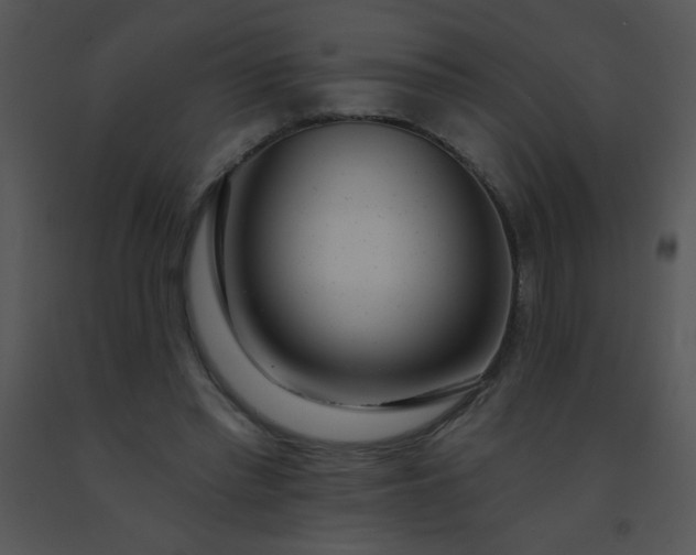 X0000091560397200708311419