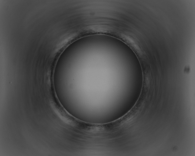 X0000091560398200708311419