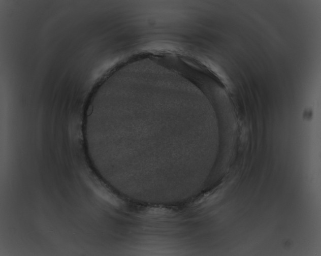 X0000091560399200708311419