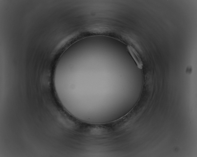 X0000091560400200708311419