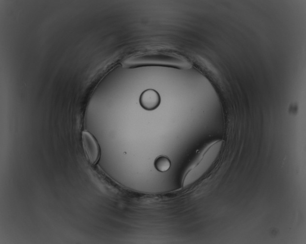 X0000091560405200708311419