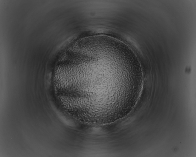 X0000091560406200708311419