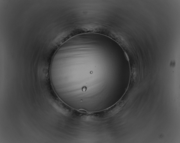 X0000091560408200708311419