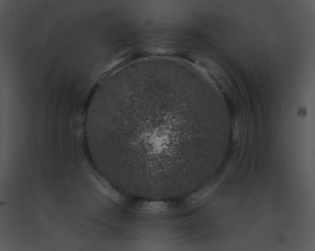 X0000091560409200708311419