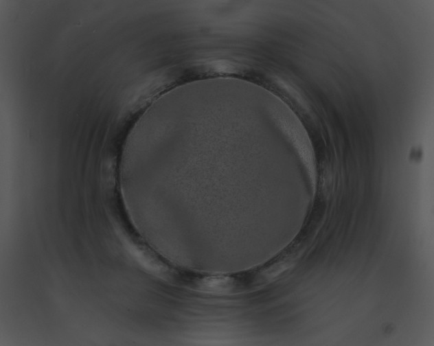 X0000091560410200708311419