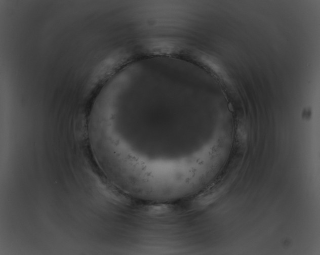 X0000091560411200708311419