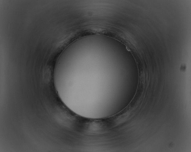 X0000091560412200708311419