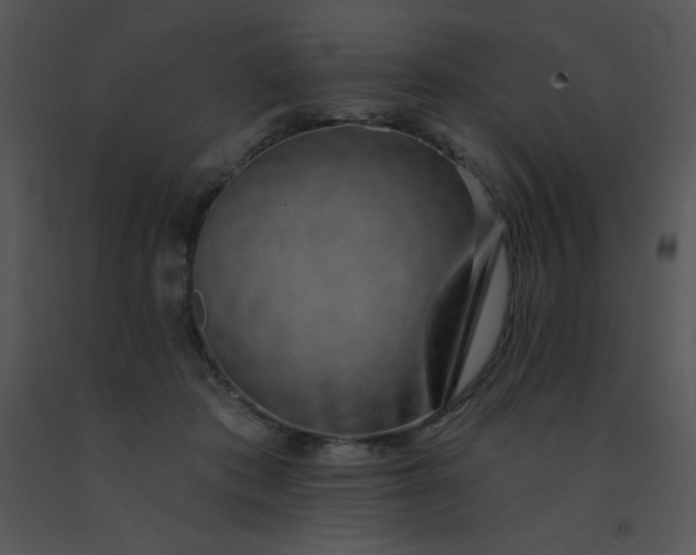 X0000091560413200708311419