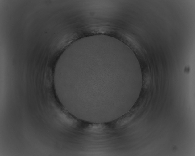 X0000091560414200708311419