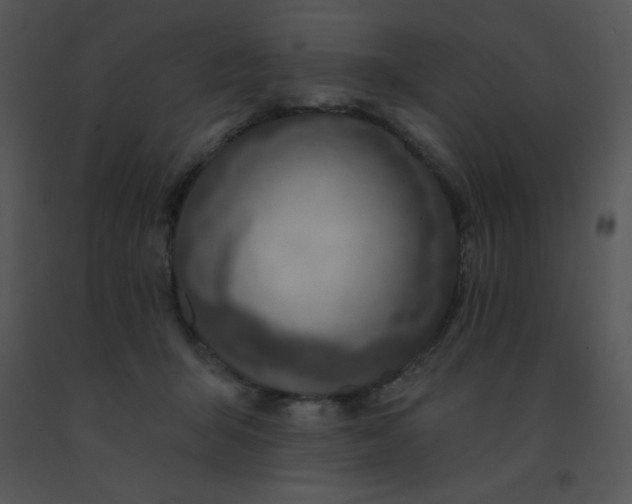 X0000091560415200708311419