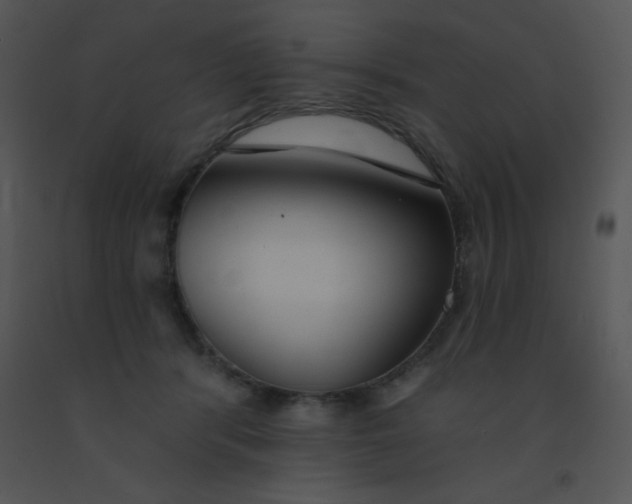 X0000091560416200708311419