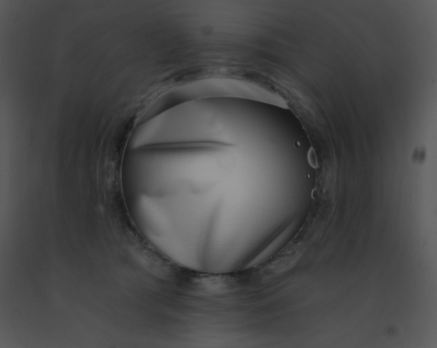 X0000091560417200708311419