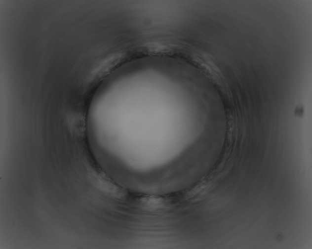 X0000091560419200708311419