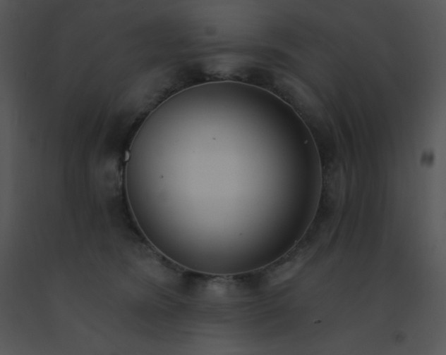 X0000091560420200708311419