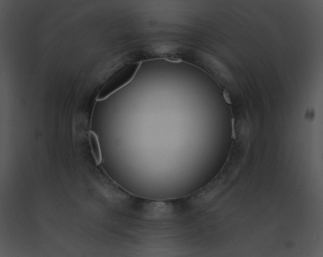 X0000091560421200708311419