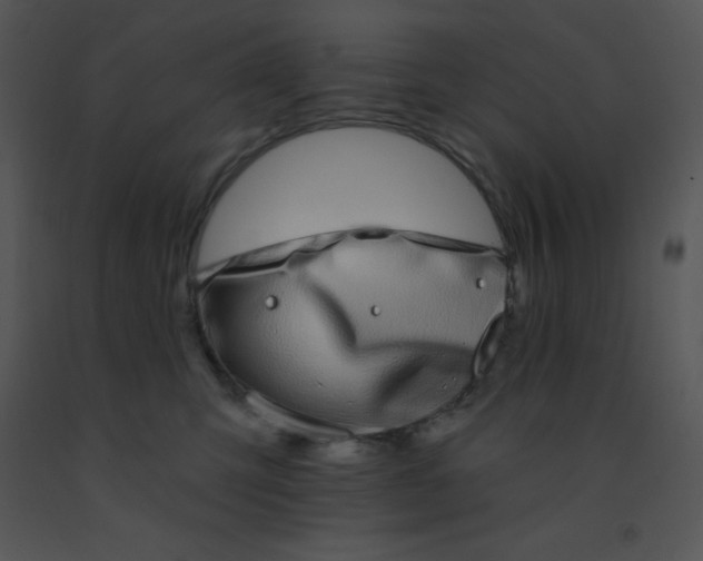 X0000091560423200708311419