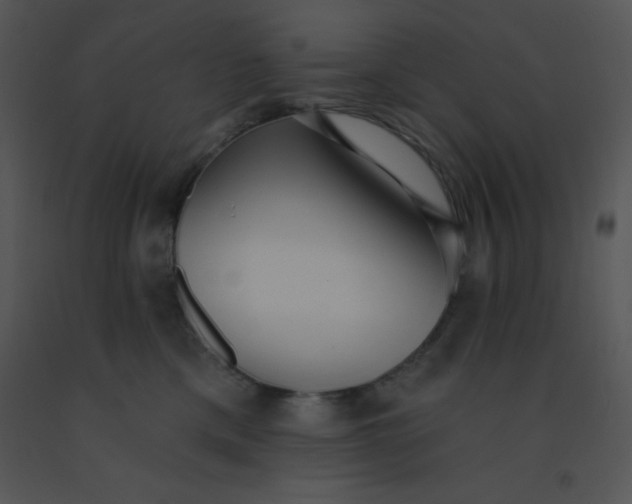 X0000091560425200708311419