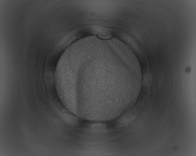 X0000091560426200708311419