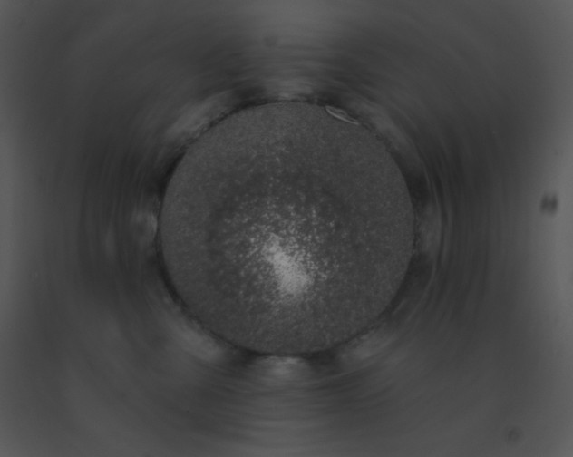 X0000091560427200708311419