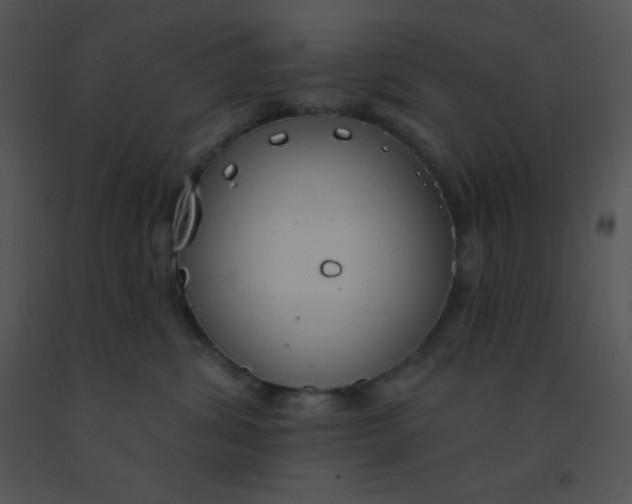 X0000091560428200708311419