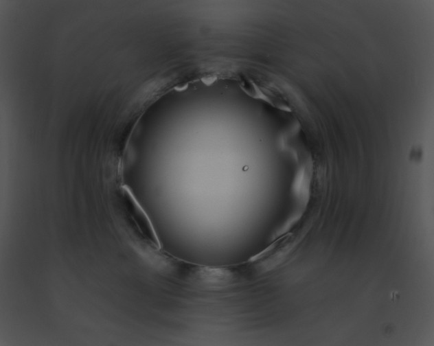 X0000091560429200708311418