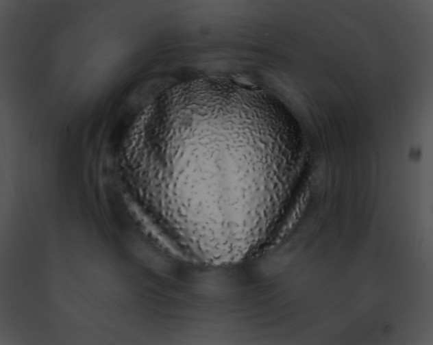 X0000091560430200708311418