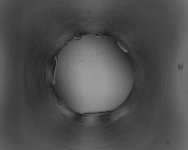 X0000091560432200708311418