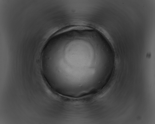 X0000091560433200708311418